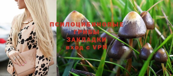 марки lsd Алексин