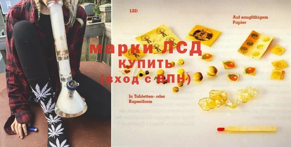 твердый Аркадак